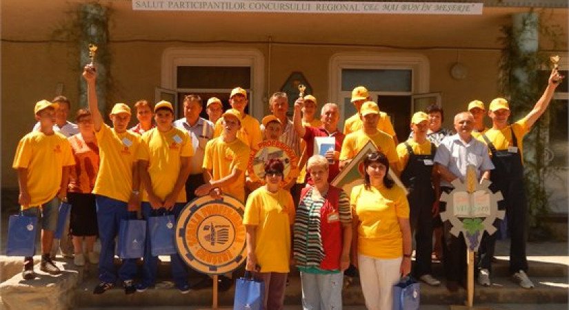 Concursul Regional “Cel mai bun in meserie” - Viișoara