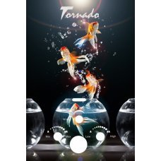 Газовая колонка TR 20 GOLDFISH Aqua