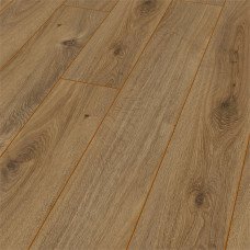 Ламинат Amazone Дуб Престиж натуральный D 4166 10мм