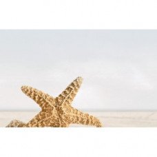 Декор Summer Stone Holiday №3 Beige 25x40см