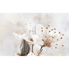 Декор Sakura №1 Beige 25x40см