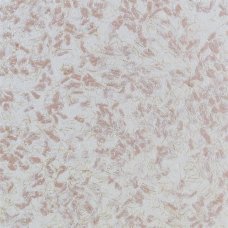 Жидкие обои Silkcoat Prestige №103