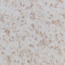 Жидкие обои Silkcoat Aspendos №17