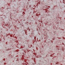 Жидкие обои Silkcoat Aspendos №10