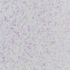 Жидкие обои Silkcoat Aspendos №11