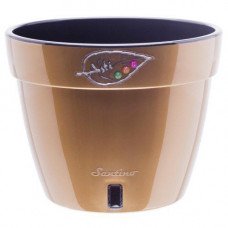 Горшок для цветов Asti Золотой-Черный 2.5л