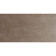 Gresie portelanata Acier Ceniza 30x60cm