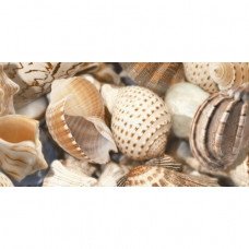Декор Sea Breeze Shells №2 Beige 30x60см