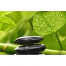 Декор Relax №2 Green 25x40см