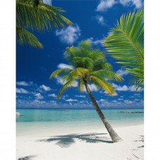 Фотообои Ari Atoll 4-883