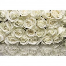 Фотообои A la Rose 8-314