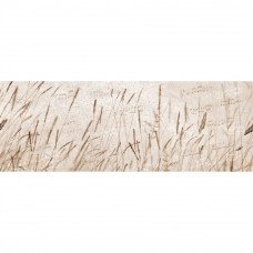 Декор Retiro Beige Notas 25x70см