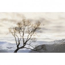Декор Wanaka №2 Beige 25x40см