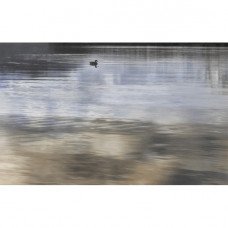 Декор Wanaka №6 Beige 25x40см