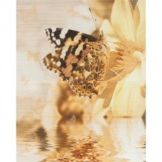 Декор Miranda Butterfly 25x40см 2шт