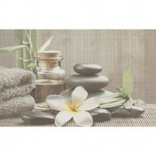Декор Olivia Grey SPA 1 25x40см