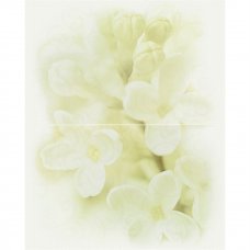 Декор Andrea Flower 25x40см 2шт