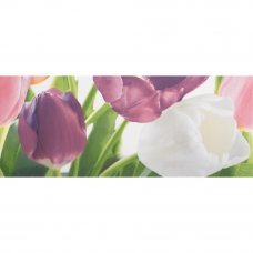 Декор Tulip 2 PN 20x50см