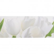 Декор Tulip 1 W 20x50см