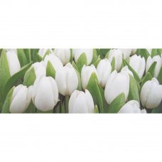 Декор Tulip Mini W 20x50см