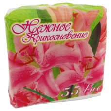 Салфетки бумажные Нежное прикосновение в ассортименте 24x24см 55шт