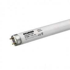 Трубка люминесцентная c цоколем G13 18W Aquastar