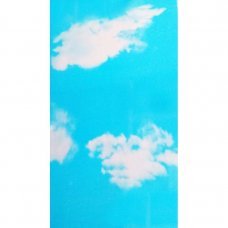 Вагонка пластиковая 250х6000мм PR-035