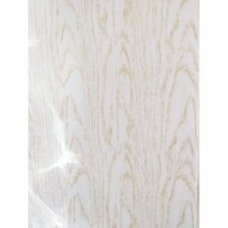 Вагонка пластиковая 250х6000мм PR-039