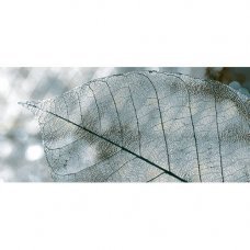 Декор Magia серый 23х50см