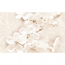 Декор Sofi Inserto Flower 25x40см