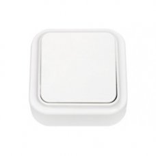 Выключатель одноклавишный Пралеска