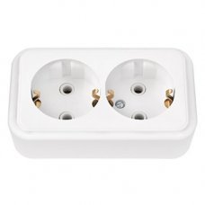 Розетка Пралеска с заземлением на 2 поста