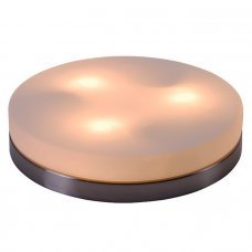 Потолочный светильник Opal 48403