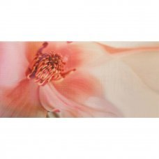 Декор Irina Rosa 25x50см