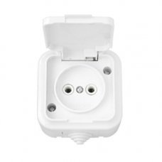 Розетка Пралеска c крышкой без заземления