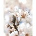Декор Sakura №1 Beige 25x40см