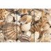 Декор Sea Breeze Shells №1 Beige 30x60см