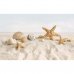 Декор Summer Stone Holiday №2 Beige 25x40см