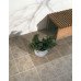 Керамогранит Argos Beige 32.6x32.6см