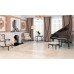 Керамогранит Neapolis Djialo 42x42см
