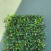 Декоративное покрытие Willow-Yellow 1x2м