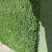 Декоративное покрытие Boxwood 100х100см