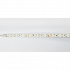Лента светодиодная 9.6Вт/м 24В 6000K 120led/м IP64