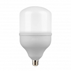 Лампа светодиодная T100  с цоколем E27 30Вт 6500K (E40)