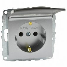 Розетка с заземлением/крышкой Despina 500-002121-118