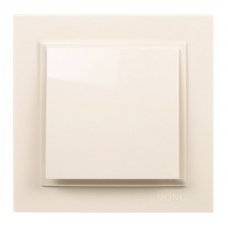 Выключатель 1 клавишный Despina 102-010025-100