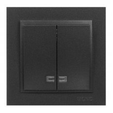 Выключатель с подсветкой 2 клавишный Despina 102-202025-103