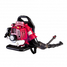 Воздуходувка бензиновая Raider RD-GB06