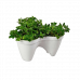 Горшок для цветов IVY White Green 7.5л