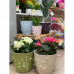Горшок для цветов 3D 2.5л